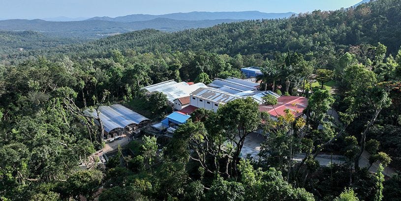 India, Where Coffee Came of Age