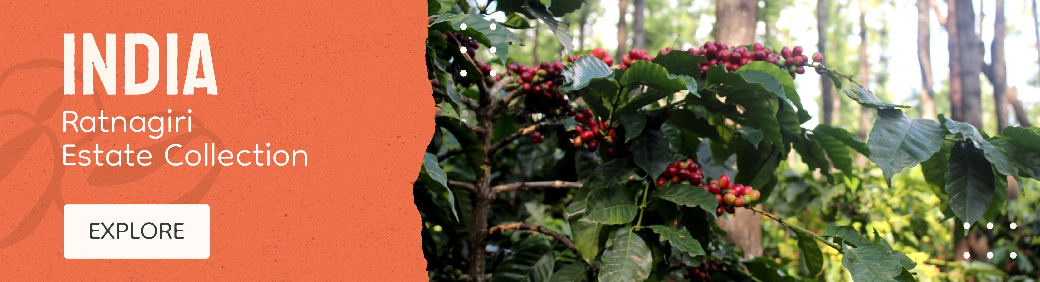 A promotional banner for infused green coffee from Colombia